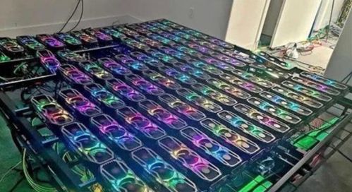 Large-scale mining farm showcasing efficient hosting layout