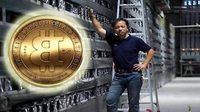 An expansive mining farm showcasing advanced hosting setups for various cryptocurrencies
