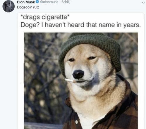 Dogecoin miners facing overheating issues due to inadequate cooling described in their vague contract.
